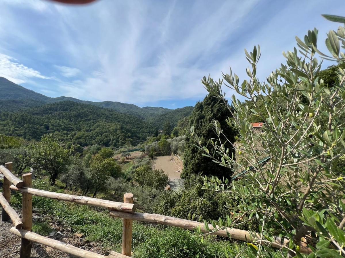 Agriturismo Torsivi Castiglione Chiavarese Exterior foto